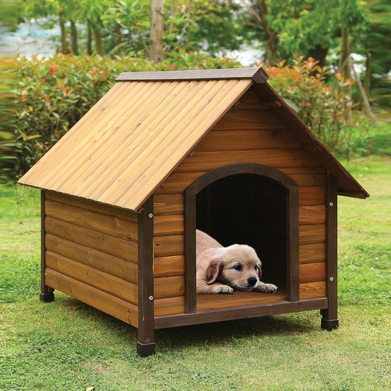 custom pet dog cat houses design and fabrication (33)