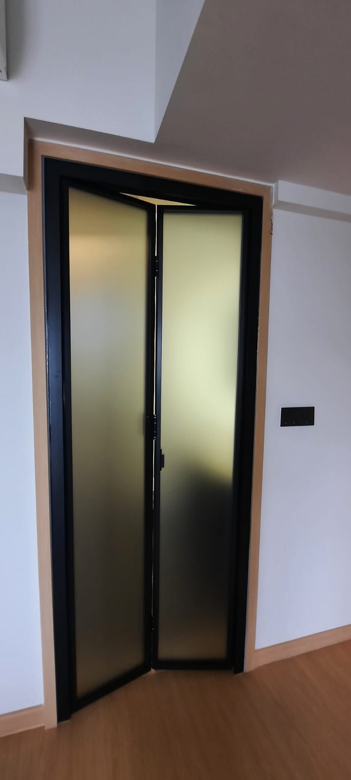 Aluminum Folding Glass Door (3)