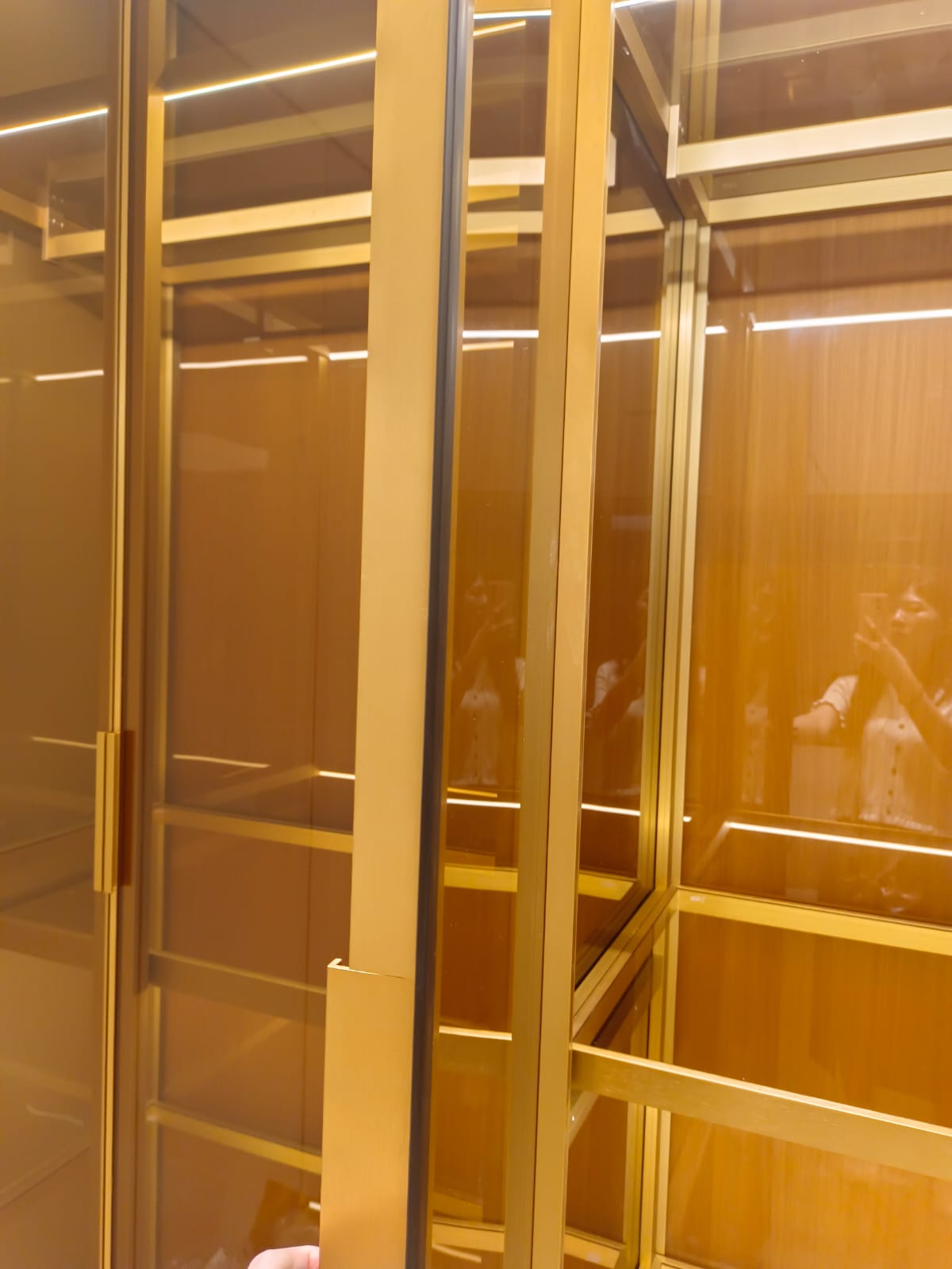 Customized glass display cabinet (146)