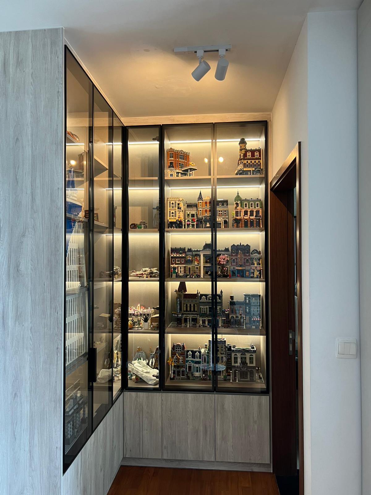 Customized glass display cabinet (233)