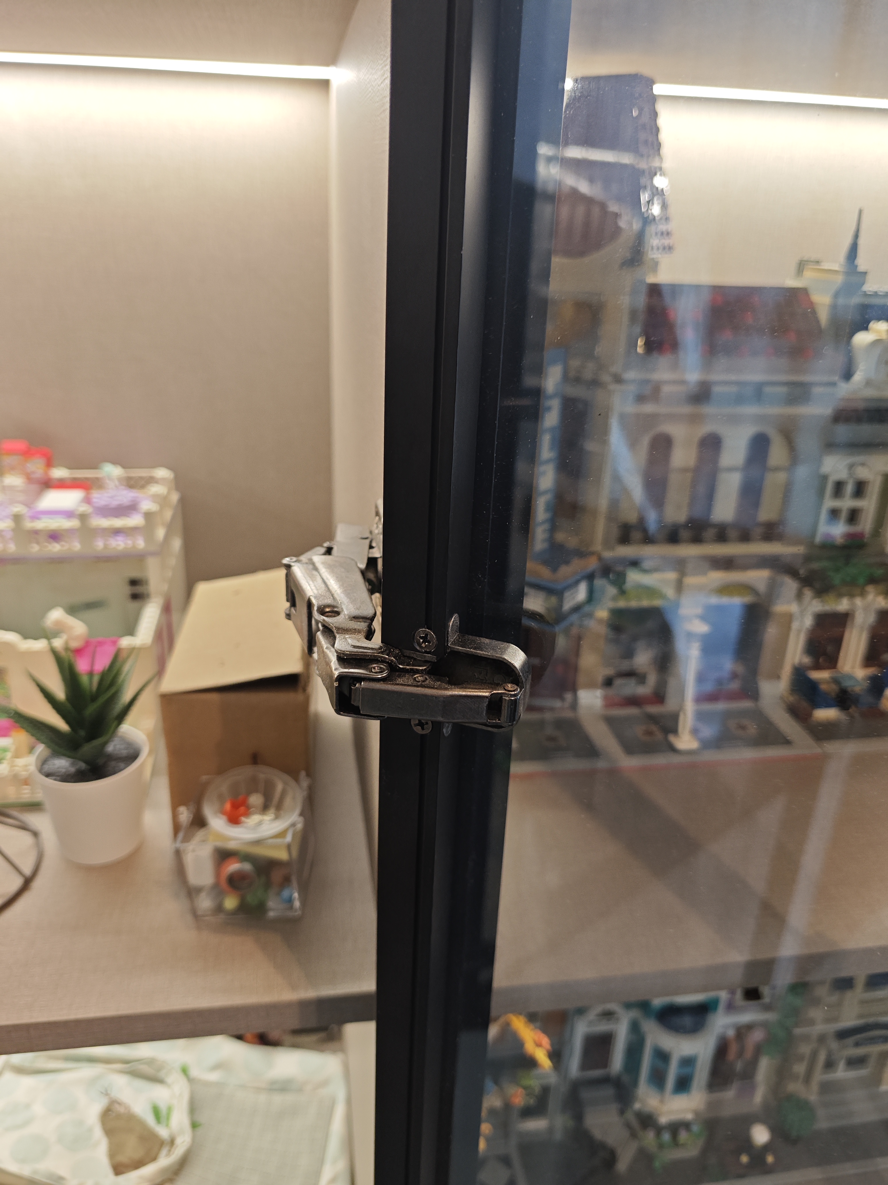 Customized glass display cabinet (237)