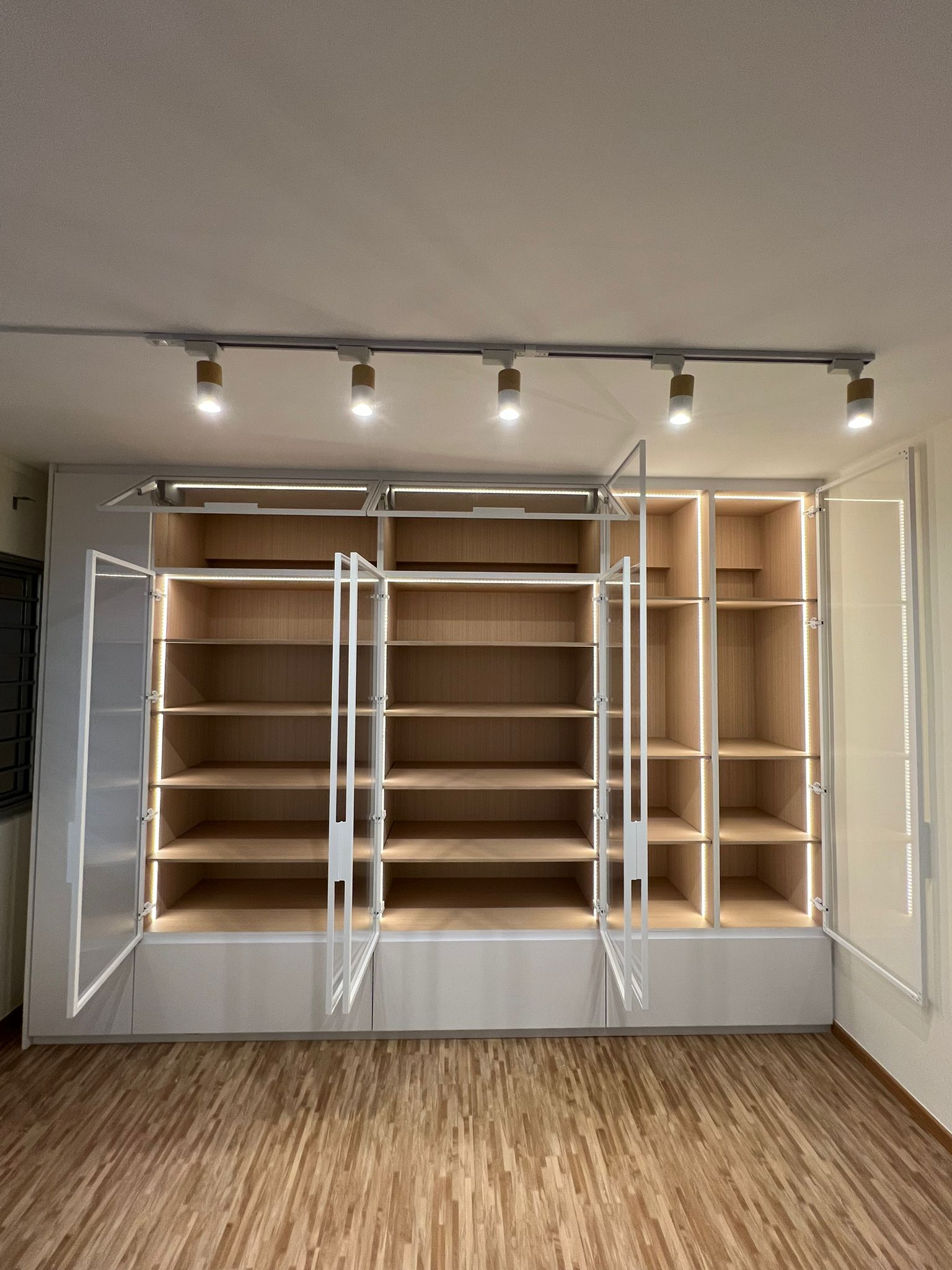 Customized glass display cabinet (239)