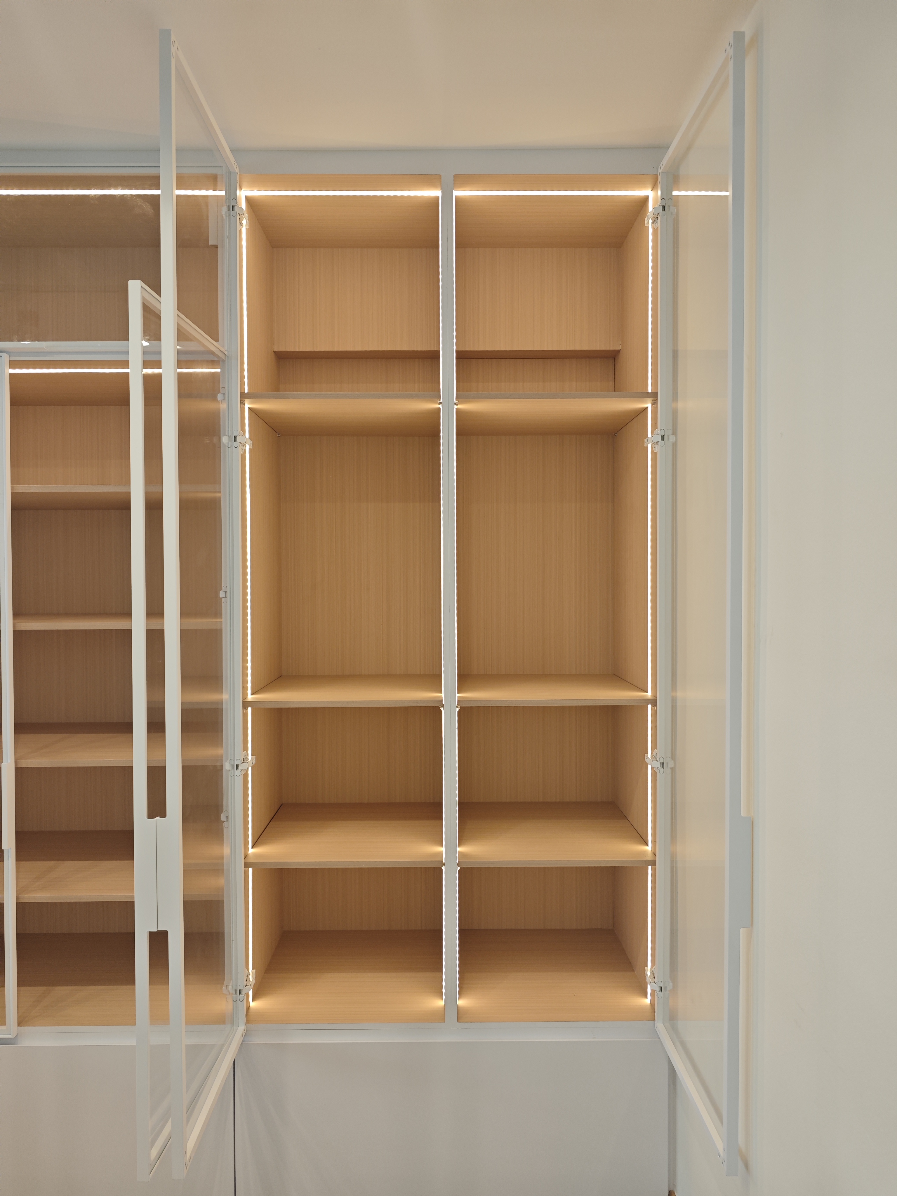 Customized glass display cabinet (241)