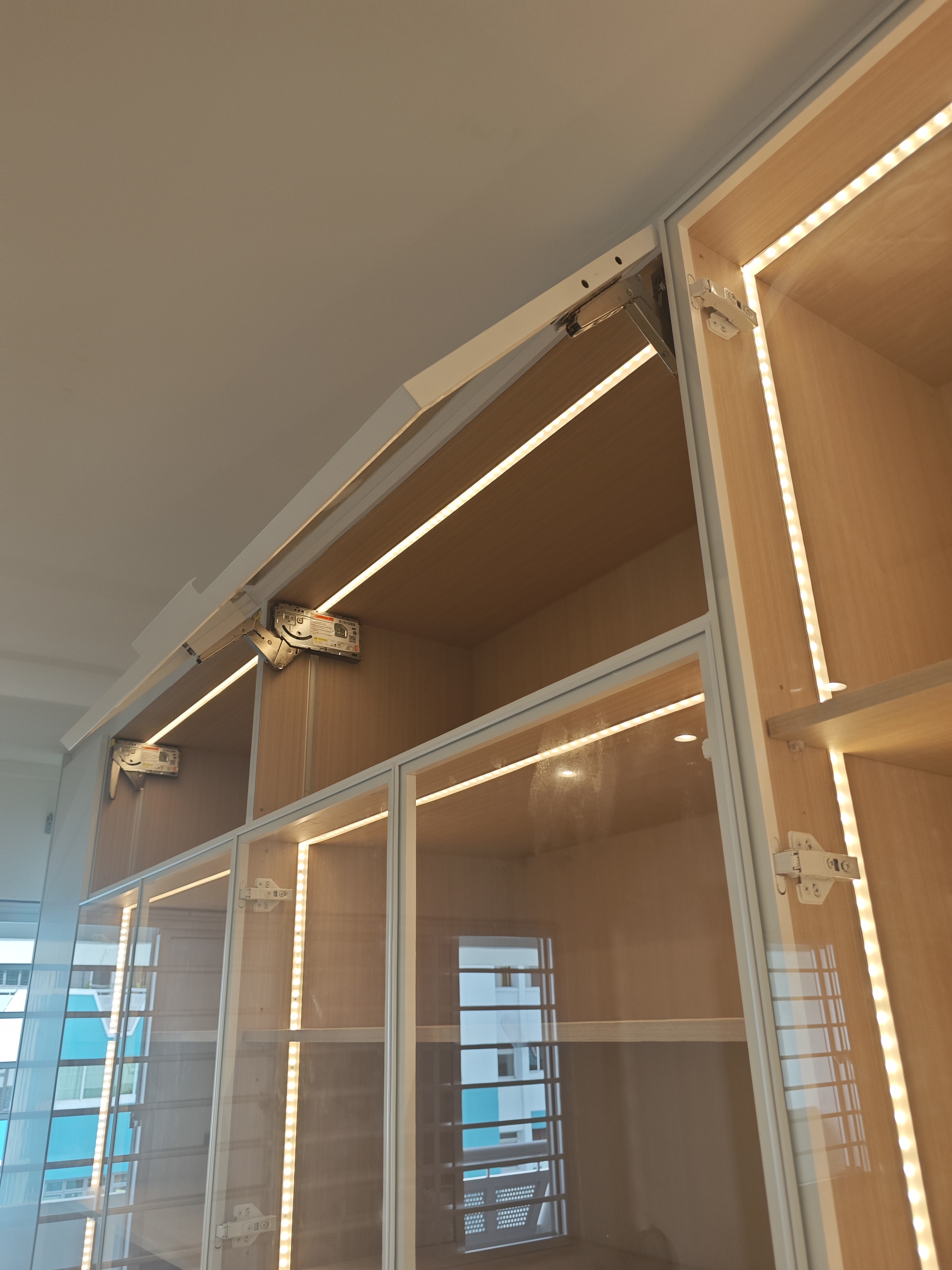 Customized glass display cabinet (242)